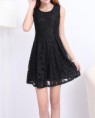 Vestido Casual de Encaje de Forma A-Line de Collar redondo de Coloe sólido